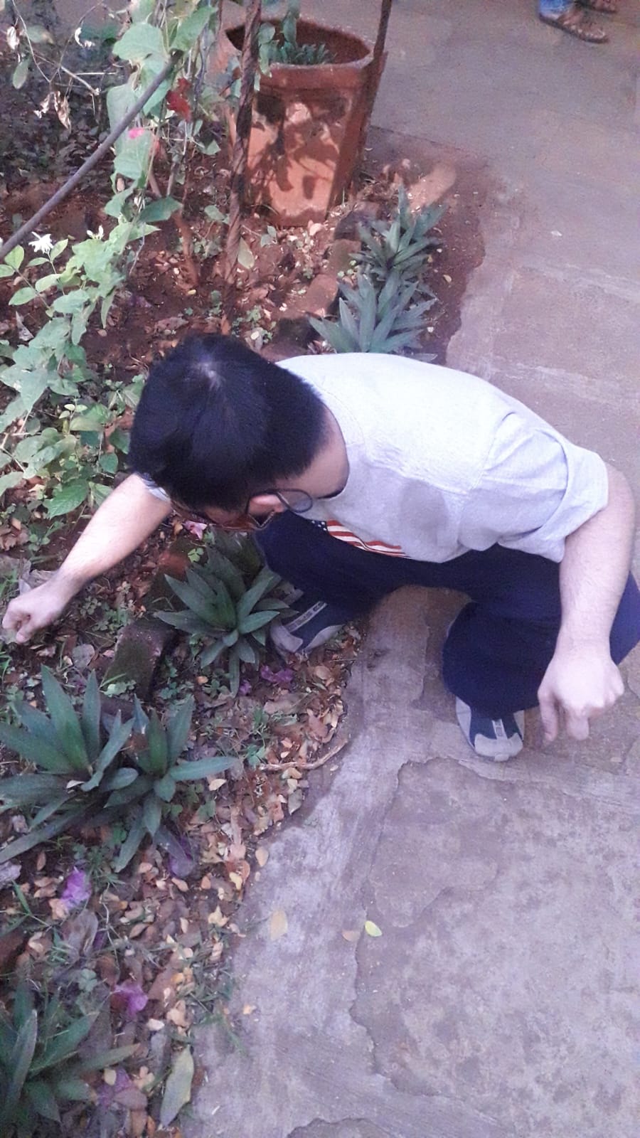A participant crouches attentively among small plants, carefully tending to the garden